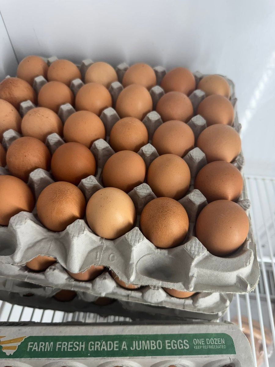 Carton of farm-fresh brown eggs in various shades